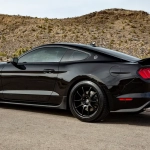 Shelby Centennial Edition Mustang