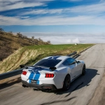 Shelby GT350