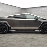 Mansory Elongation