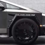 Mansory Elongation