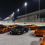 McLaren Mansour Collection