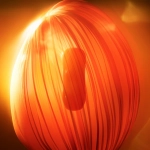 Century One-of-One Concept