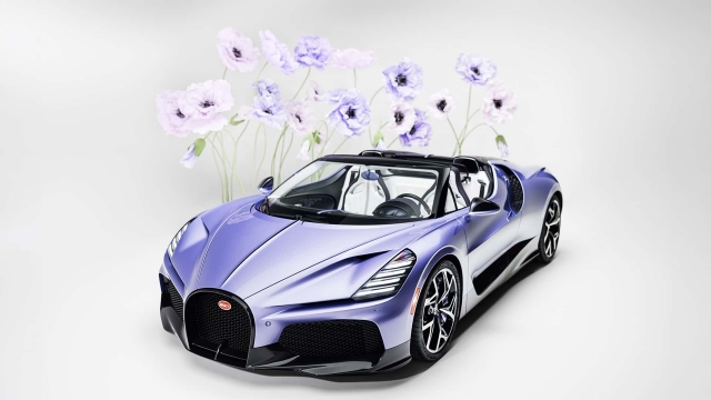 Bugatti W16 Mistral Sur Mésure Caroline