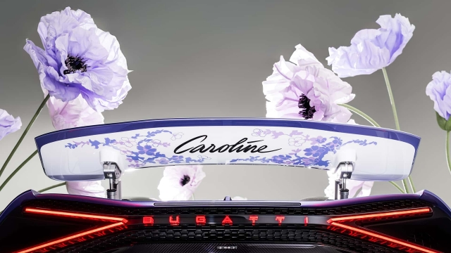 Bugatti W16 Mistral Sur Mésure Caroline