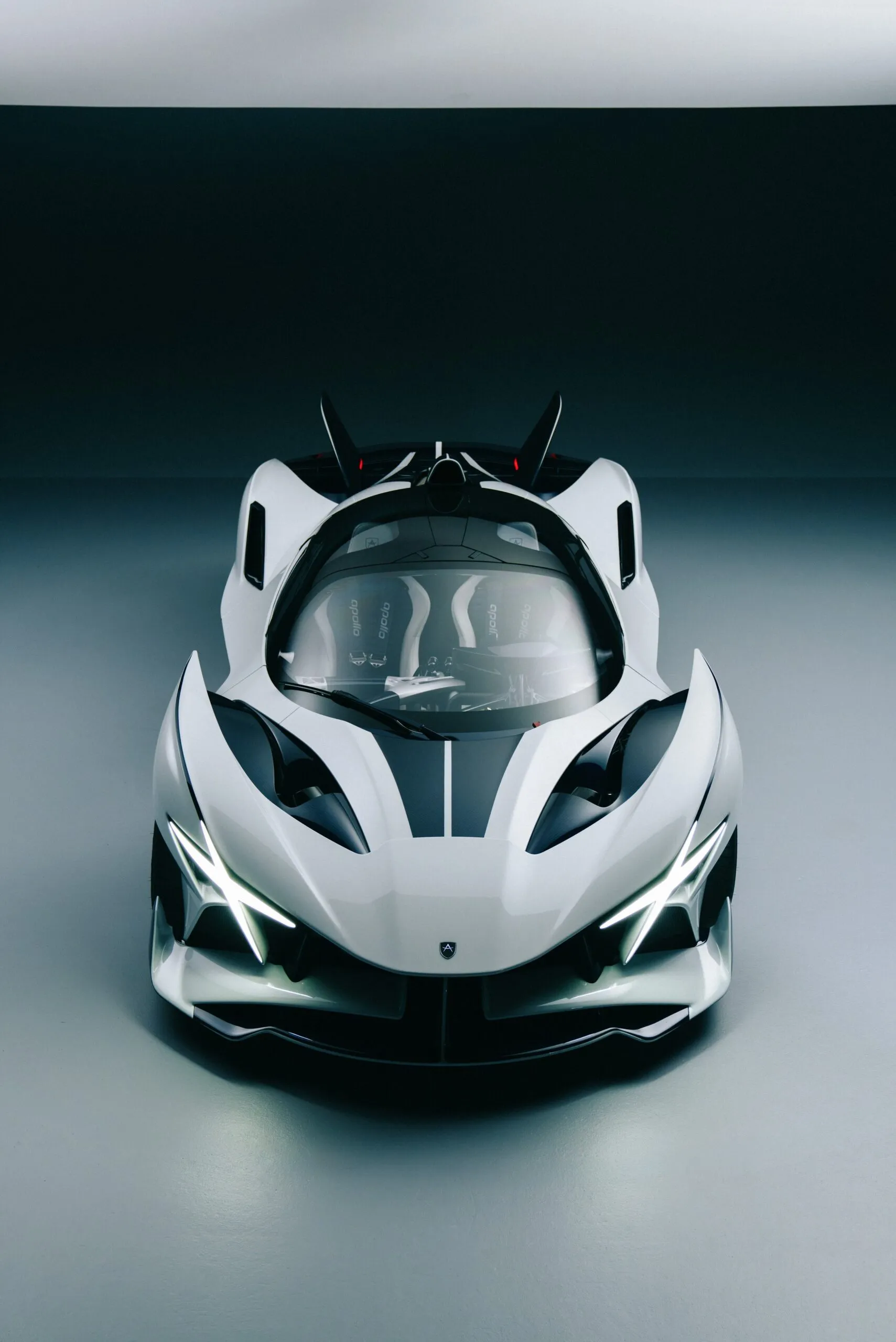 Apollo Evo Caribbean Dragon