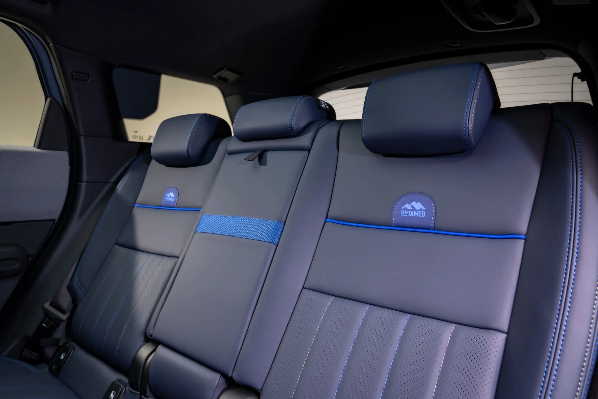 Mini Countryman Untamed Edition